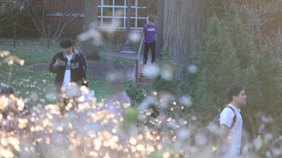 Students relaxing under trees